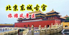 鸡巴操骚逼对象小视频中国北京-东城古宫旅游风景区